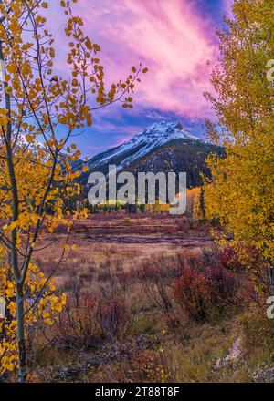 Herbstfarbene Espen am Brown Mountain spiegeln sich in einem Biberteich am Ironton Marsh in der Nähe des Milion Dollar Highway in der Nähe von Ouray, Colorado. Stockfoto