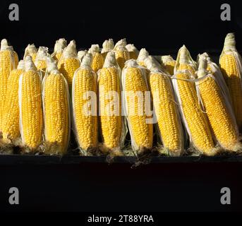 Viele organische frische Geschälte Körner als Essen Hintergrund Stockfoto