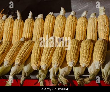 Viele organische frische Geschälte Körner als Essen Hintergrund Stockfoto