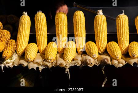 Viele organische frische Geschälte Körner als Essen Hintergrund Stockfoto