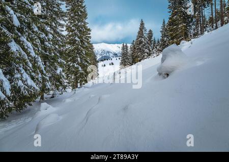 Fantastische Winterlandschaft mit schneebedeckten Kiefern und Berghängen, Karpaten, Rumänien, Europa Stockfoto