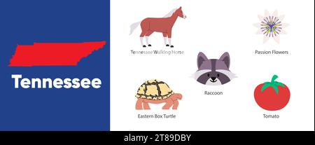 Tennessee zustände des Symbols Objekt Waschbär Leidenschaft Blume Amerika Land Illustration Stock Vektor