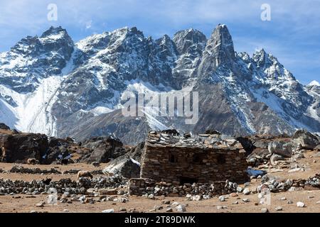 Shepherds Haus im Himalaya. Yaks weiden in großer Höhe in Nepal. Wunderschöne schneebedeckte Berge auf dem Weg zum Renjo Pass in der Everest Region. Stockfoto