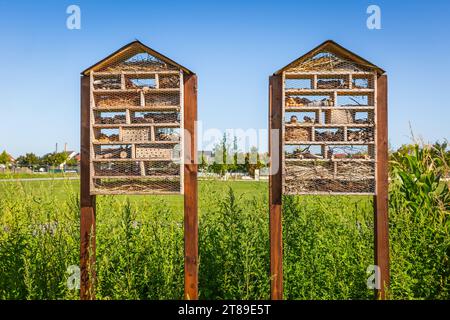 2 Holzkäfer-Haus-Hotel in einem Feld, biologische Vielfalt Stockfoto