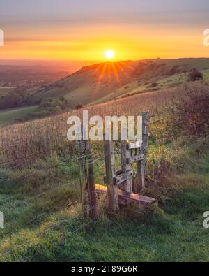 Ditchling Beacon Sonnenaufgang am Stile Stockfoto