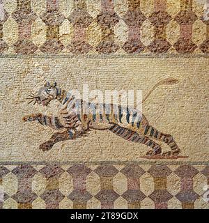 Bild eines Tigers auf einem antiken Mosaik aus dem Atrium des Hauses Dionysos. Das Ende des 3. Jahrhunderts in Paphos. Zypern. Stockfoto