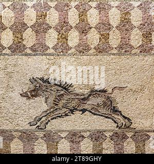 Bild eines Wildschweins auf einem antiken Mosaik aus dem Atrium des Hauses Dionysos. Das Ende des 3. Jahrhunderts in Paphos. Zypern. Stockfoto