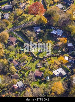 Luftaufnahme, Kleingartenverein am Heuweg e.V., kreisförmig angeordnete Laubbäume und Häuser, Garten mit Laubbäumen in Herbstfarbe Stockfoto