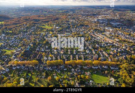 Aus der Vogelperspektive, Ortsansicht des Wohngebietes Witten-Annen mit herbstlicher Baumallee Steinbachstraße mit herbstlichen Laubbäumen, Blick auf das Witten-Zentrum Stockfoto