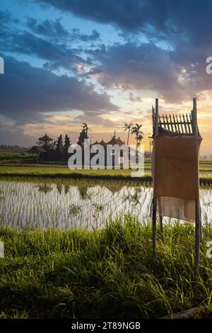 Tolle frische Reisterrassen mit Wasser am Morgen. Blick über Fischgrün zu einem Hindutempel am Morgen. Landschaftsaufnahme auf einer tropischen Insel Bali Stockfoto