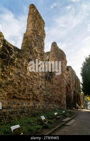 Abbey Ruins, Reading, Berkshire, England, Großbritannien Stockfoto