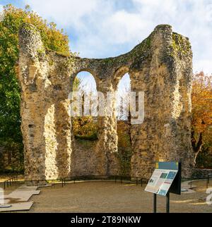 Abbey Ruins, Reading, Berkshire, England, Großbritannien Stockfoto