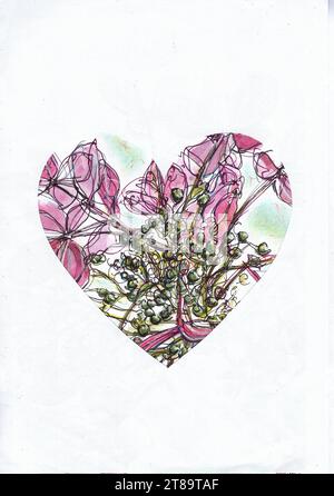 Eine farbige Illustration von Hortensien in Herzform auf weißem Hintergrund. Stockfoto