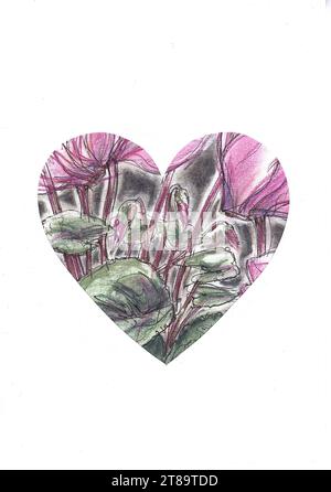Eine farbige Illustration von rosa Cyclamen in Herzform auf weißem Hintergrund. Stockfoto