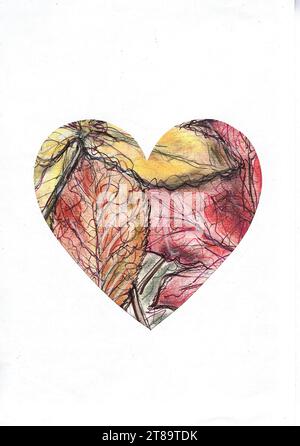 Eine farbige Illustration von Herbstblättern in Herzform auf weißem Hintergrund. Stockfoto