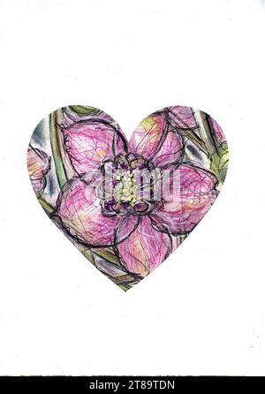 Eine farbige Illustration von Hellebores in Herzform auf weißem Hintergrund. Stockfoto