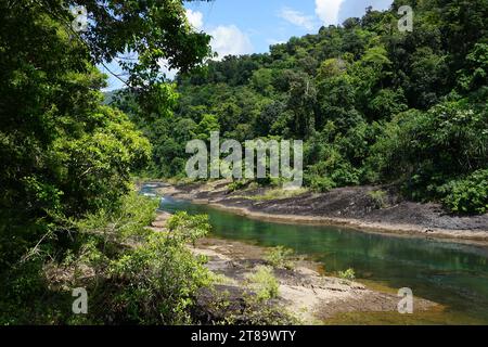 Grünes Wasser des tully River in tully, queensland, australien, umgeben von üppig grünem Laubbusch Stockfoto