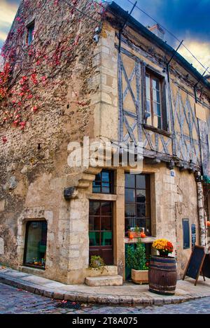 la ville d'Avalon dans l'yonne une fin d'après midi d'automne/die Stadt Avalon in der Yonne an einem späten Herbstnachmittag Stockfoto