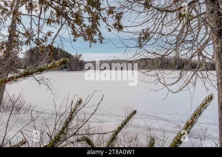 Ein gefrorener See, der durch Zedernzweige an einem sonnigen Wintertag im Mont Tremblant, Quebec, Kanada, aufgenommen wurde Stockfoto