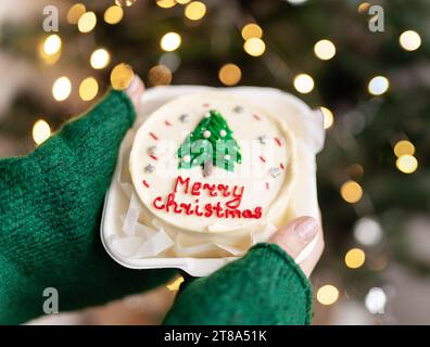 Nahaufnahme einer kleinen bento-Torte. Ein Mädchen hält einen selbstgemachten Weihnachtskuchen mit der Aufschrift Frohe Weihnachten in den Händen, vor dem Hintergrund eines Stockfoto