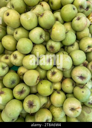 Viele reife Äpfel Obst Lebensmittel Vitamine gesunde Ernährung als Hintergrund Stockfoto