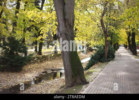 Pfad im Park Vrnjacka Banja - Serbien Stockfoto