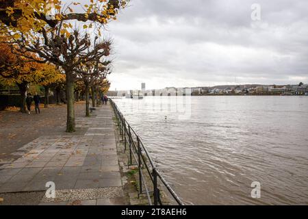 Hochwasser in Bonn. Am 19.11.2023 in Bonn am Rhein. In Bonn steigt die Hochwassergefahr. Der Rheinpegel soll zum Wochenende noch weiter ansteigen. Bonn Beuel Nordrhein-Westfalen Deutschland *** Hochwasser in Bonn am 19 11 2023 in Bonn am Rhein die Hochwassergefahr steigt in Bonn der Rheinspiegel wird am Wochenende noch weiter steigen Bonn Beuel Nordrhein-Westfalen Deutschland Credit: Imago/Alamy Live News Stockfoto
