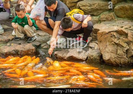 Shanghai China 11. Juni 2023: Die Touristen füttern Koi im Yu Garden. Es ist ein weitläufiger chinesischer Garten neben dem Stadtgotttempel Stockfoto