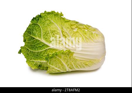 Frischer Chinakohl auf einem weißen Hintergrund. Stockfoto