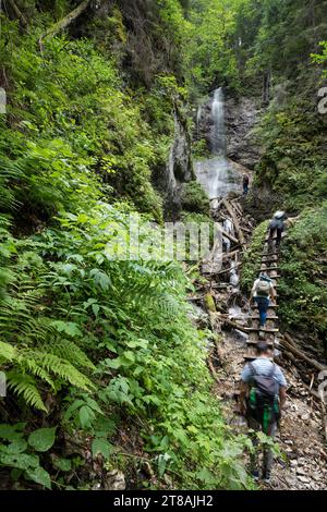 Wasserfall mit Touristen auf der Leiter im Canyon des Nationalparks Slowakisches Paradies, Slowakei Stockfoto