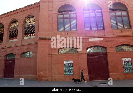 La Malagueta Stierkampfarena, Malagas sechseckige, terrakottafarbene Stierkampfarena im Malagueta-Viertel. Ein Mädchen geht mit ihrem Hund vorbei. Stockfoto