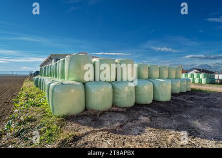 In der Nähe der Scheune auf dem italienischen Bauernhof im Potal in der Provinz Turin stapelten sich unter blauem Himmel Heuballen mit Plastikhülle Stockfoto