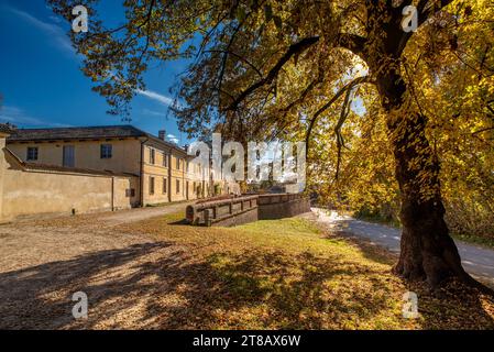 Villastellone, Turin, Italien - 18. November 2023: Borgo Cornalese mit Blick auf den Palast de Maistre mit alten Bäumen mit Herbstfarben. Villa Studio des en Stockfoto