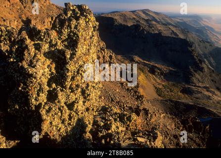 Flechten on Rock am Steens Mountain Front von East Rim View, Steens Mountain Recreation Area, Burns District Bureau of Land Management, Oregon Stockfoto