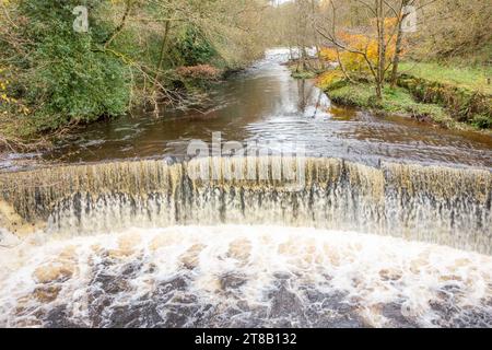 Der Fluss Dane fließt über ein Wehr in der Nähe des Dorfes Wincle in Cheshire im Peak District Stockfoto