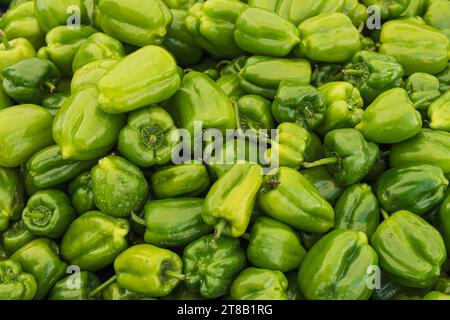 Viele grüne Paprika auf dem Markt, im Hintergrund Stockfoto