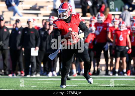 Ithaca, NY, USA. November 2023. Cornell Big Red Quarterback Jameson Wang (1) schaut in der zweiten Halbzeit am Samstag, den 18. November 2023, im Schoellkopf Field in Ithaca, NY, gegen die Columbia Lions zu kämpfen. Columbia gewann mit 29:14. Rich Barnes/CSM/Alamy Live News Stockfoto