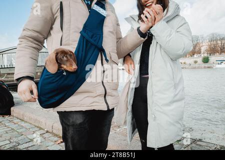 Paris, Frankreich. November 2023. Dackelhunde Hunde während der 4. Ausgabe des Paris Wurst Walks, ein marsch der Dackelhunde, kleine Hunde, organisiert in Paris, Frankreich am 19. November 2023. Foto: Antoine Foglio/ABACAPRESS.COM Credit: Abaca Press/Alamy Live News Stockfoto