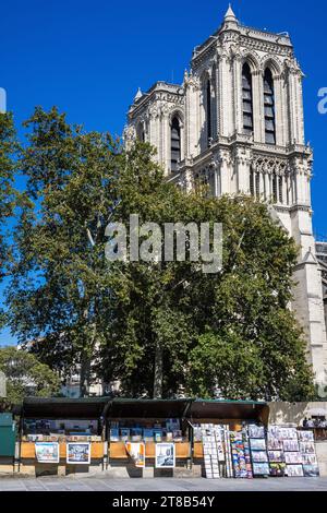 Bouquinistes oder Verkäufer von gebrauchten Büchern und Zeitschriften entlang der seine, Paris, Frankreich, Europa Stockfoto