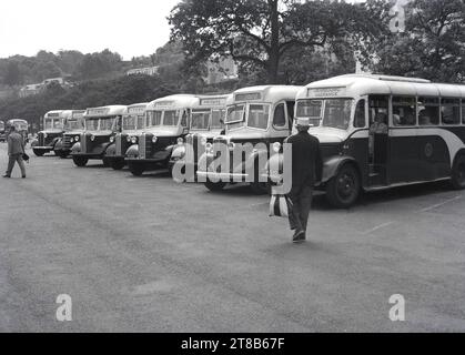 1950er Jahre, historische, touristische oder Exkursionen Bedford Reisebusse aus der Zeit, parkten in einer Schlange auf Guernsey, Kanalinseln. Zu den Zielen gehören Jerbourg Via Grange, Saints Via Fort Rd und The Town. Stockfoto