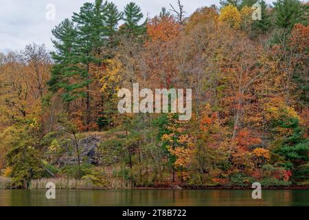 Auf dem See mit Blick auf die farbenfrohe Küste mit mehrfarbigen Bäumen, die das felsige Gelände an einem bewölkten Tag im Herbst umgeben Stockfoto