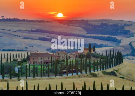 Asciano, Italien - 22. Juli 2023: Toskanische Landschaft bei Sonnenuntergang. Einer der berühmtesten Orte mit Zypressen und weißen Schotterstraßen in der Toskana, nea Stockfoto