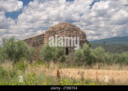 Einzelne scheinbar verlassene Ruine eines Steinhauses inmitten eines landwirtschaftlichen Feldes und Olivenbäumen Stockfoto