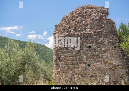 Einzelne scheinbar verlassene Ruine eines Steinhauses inmitten eines landwirtschaftlichen Feldes und Olivenbäumen Stockfoto