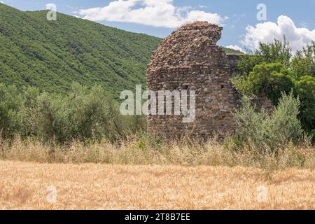 Einzelne scheinbar verlassene Ruine eines Steinhauses inmitten eines landwirtschaftlichen Feldes und Olivenbäumen Stockfoto
