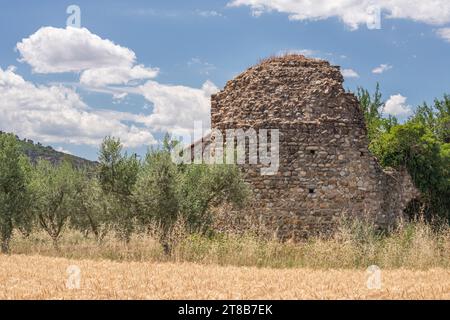 Einzelne scheinbar verlassene Ruine eines Steinhauses inmitten eines landwirtschaftlichen Feldes und Olivenbäumen Stockfoto