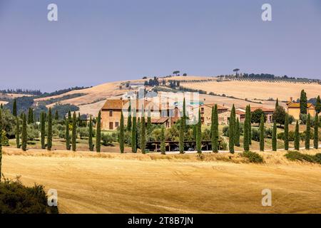 Asciano, Italien - 22. Juli 2023: Toskanische Landschaft. Einer der berühmtesten Orte mit Zypressen und weißen Schotterstraßen in der Toskana, in der Nähe von Asciano Stockfoto