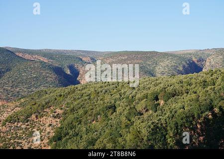 Mittlerer Atlas in der Nähe der Ouzoud-Fälle und des Dorfes Tanaghmeilt in der Provinz Azilal in Marokko, klarer blauer Himmel an 2023 warmen, sonnigen Wintertagen im Januar. Stockfoto