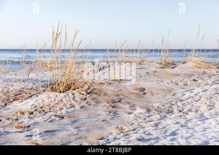 Gefrorene Strandlandschaft, Golf von Finnland. Küste der Ostsee, natürliches Winterhintergrund Foto Stockfoto