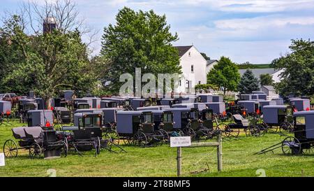 Eine große Gruppe von Amish Horse und Buggys für eine Veranstaltung in Lancaster, Pennsylvania an einem sonnigen Sommertag Stockfoto